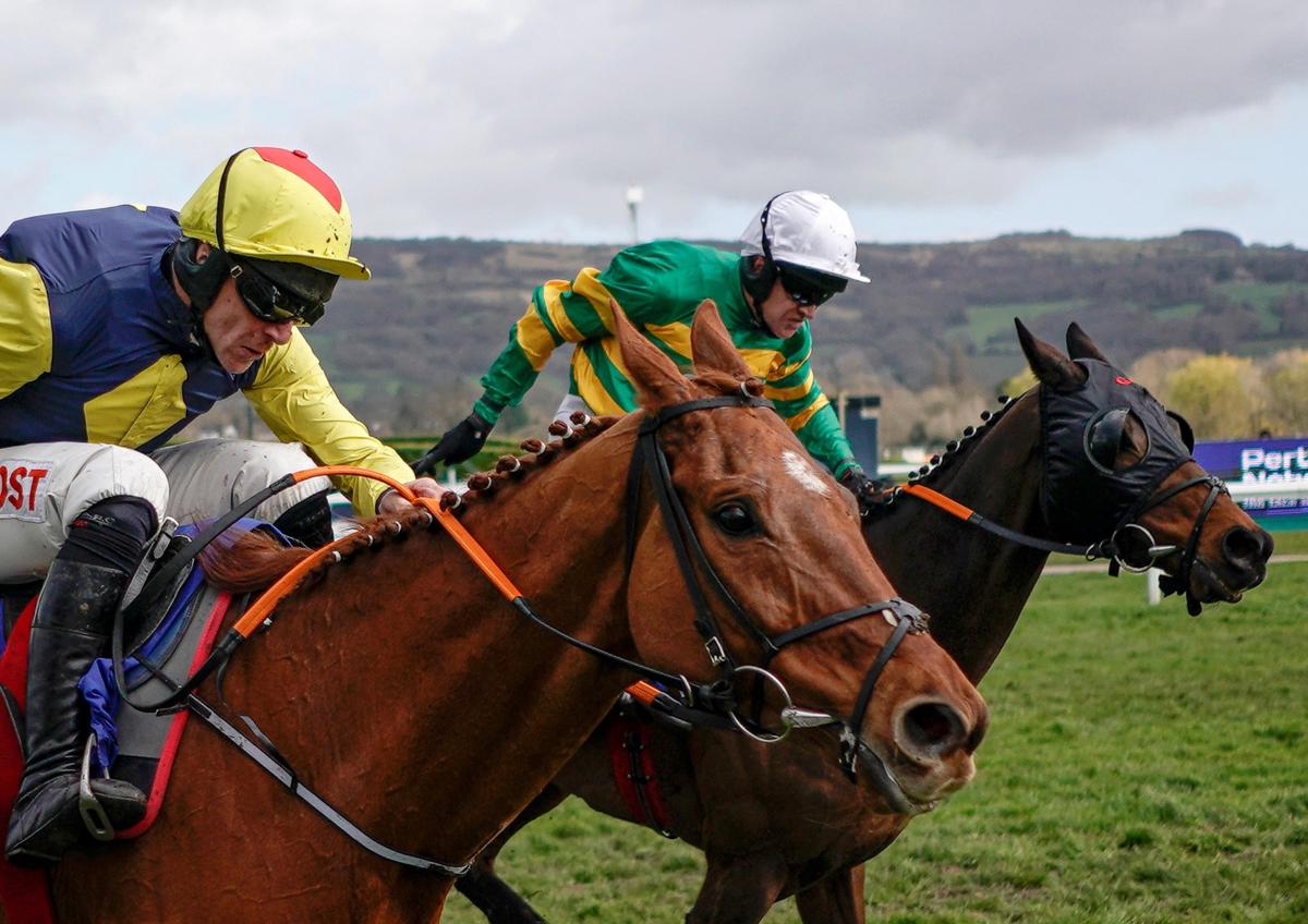 The Storyteller Cheltenham 